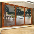 Interior Sliding Doors with Aluminum Frame (FT-D120)